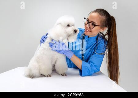 Ein süßer weißer Pudel Hund und weibliche Tierärztin, Pistenraupe isoliert auf weißem Studio Hintergrund. Stockfoto