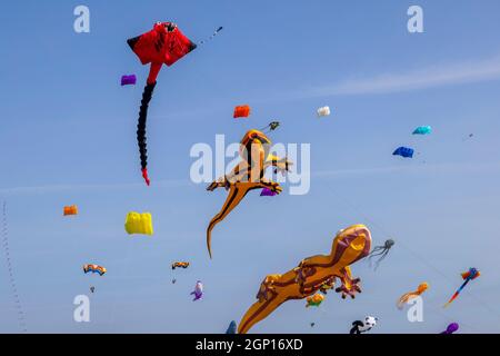 Kite Festival - Filey, North Yorkshire der wunderschöne blaue Himmel zog eine riesige Menge Besucher an - riesige Drachen Stockfoto