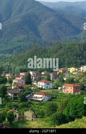 Idyllisches italienisches Dorf, eingebettet zwischen grünen, rollenden hils. Häuser haben Reihen von Weinreben in diesem vertikalen Wein Land Bild mit Kopieplatz Stockfoto