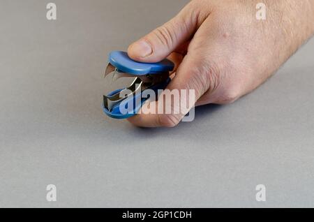 Mann hält blauen Staple Entferner vor grauem Hintergrund. Gerät tha Stockfoto