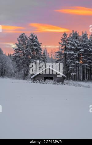 Baracke im Schnee im Wald, Winter, Berglandschaft bei Sonnenuntergang Stockfoto