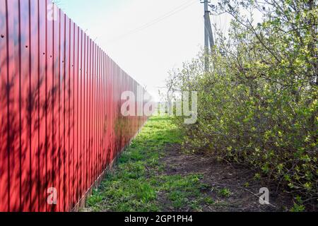 Grüner Rasen durch den roten Zaun. Der Frühling kam Stockfoto