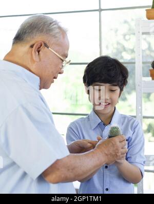 Der pensionierte Großvater verbrachte die Ferien mit seinem Enkel, der sich um den Innengarten kümmerte. Stockfoto