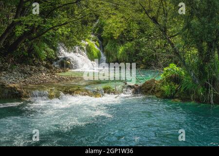 Kleiner Wasserfall, der von Sonnenlicht beleuchtet wird, mit Bäumen, die sich darüber lehnen. Grüner, üppiger Wald, Nationalpark Plitvicer Seen UNESCO Weltkulturerbe in Kroatien Stockfoto