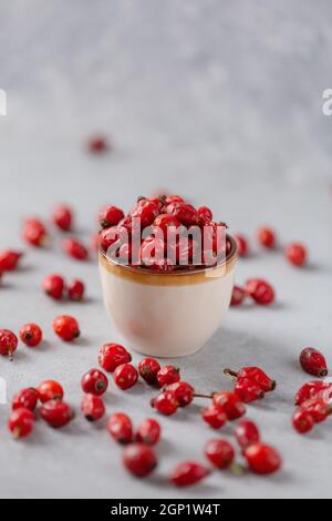 Heilpflanzen und Kräuter. Hagebutten Beeren auf Betongrund mit Kopierraum. Getrocknete Früchte für Kräutertees und ätherische Öle. Selektiver Fokus Stockfoto