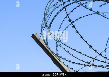 Stacheldraht auf dem Zaun. Schützende Fechten speziell geschützten Objekt aus Stacheldraht. Gestanzte Stacheldraht. Stockfoto