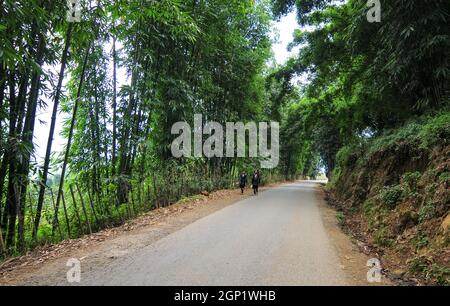 Bergstraße in Sapa, Vietnam. Sapa ist eine unglaublich malerische Stadt, die in der Hoang Lien Son Bergkette liegt. Stockfoto