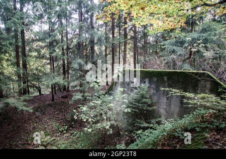 Sowie Mountains, Niederschlesien, Polen, 18. Oktober 2014. Im Zweiten Weltkrieg startete die deutsche Armee das größte Untergrundprojekt des Dritten Reiches, das Projekt Riese. Codename ‘RIESE’, was ‘Ein Riese’ bedeutet. Tausende Kriegsgefangene wurden bis zu ihrem Tod beim Bau der Tunnel gearbeitet, viele dauerten nur ein paar Monate, als die Deutschen sie 24 Stunden am Tag arbeiteten. Kinder im Alter von 10 Jahren wurden zur Arbeit gebracht, indem sie Bergbaukarren mit Verderben schleppten. PIC von Michael Scott/Alamy Live News Stockfoto