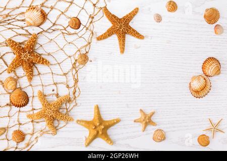 Summer time concept with sea shells and starfish on a white wooden background. Stockfoto