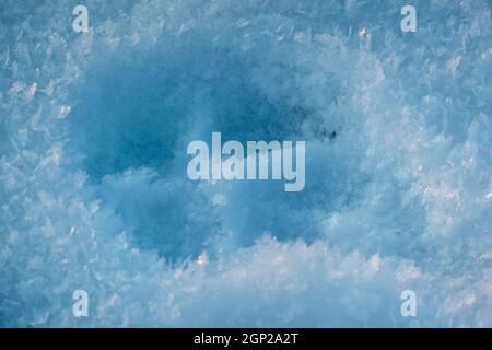 Pfote druckt im Schnee. Hundefußabdruck auf weißem Schnee. Stockfoto