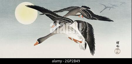 Vögel bei Vollmond (1900 - 1936) von Ohara Kos (1877-1945). Stockfoto