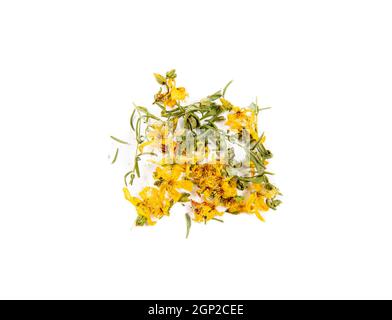Getrocknete Hypericum perforatum, bekannt als Perforate Johanniskraut-Pflanzenblumen und Blatt isoliert auf weißem Hintergrund. Konzept der Kräutermedizin. Stockfoto