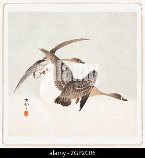 Gänse und Vollmond von Ohara Koson (1877-1945). Stockfoto