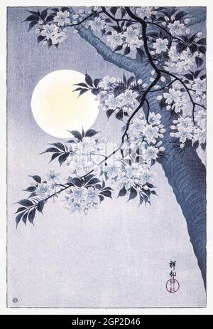 Blühende Kirsche in einer Mondnacht (ca. 1932) von Ohara Koso. Stockfoto