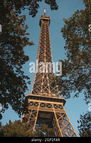 Detail des Eiffelturms mit Bäumen in Paris, Frankreich Stockfoto