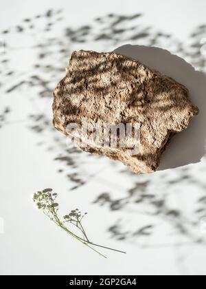 Modell geometrische Form Podium Draufsicht. Steinform mit Gypsophila-Blüten auf weißem Hintergrund. Vertikal. Flach liegend. Kann als Parfüm und c Stockfoto