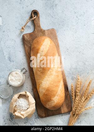 Britisches Weißblüher oder europäisches Sauerteig-Baton-Brot auf grauem Zementhintergrund. Frisches Brot, Glas mit Sauerteig-Starter, Mehl in p Stockfoto