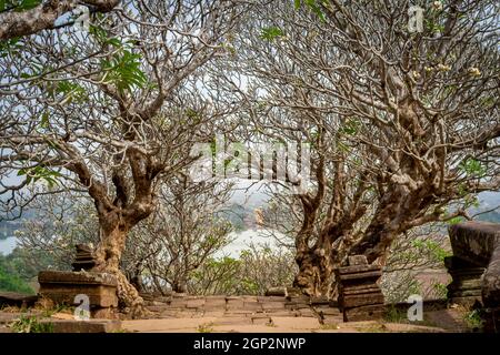 Treppen zum Heiligtum und Tempel auf dem Hügel von Wat Phou - Champasak - Laos - Asien Stockfoto