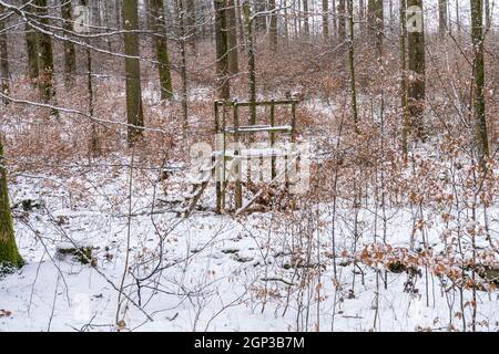 Der Stand des Jägers im Winterwald. Der Jägerstand ist etwa 1m hoch und leicht mit Schnee bedeckt. Stockfoto