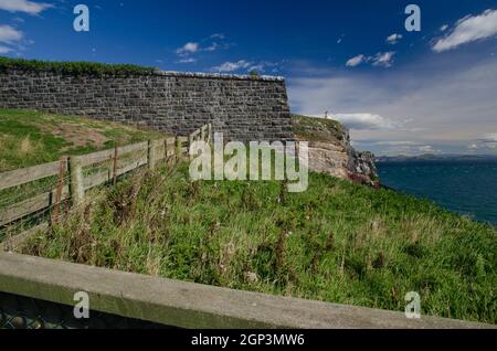 Landschaft im Taiaroa Head Wildlife Reserve. Otago-Halbinsel. Otago. Südinsel. Neuseeland. Stockfoto