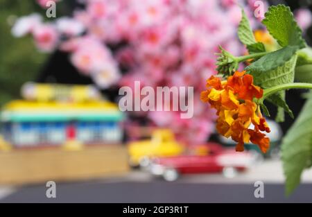 Blumen Nahaufnahme mit Vintage Diner und Hot Rods im Hintergrund. Small Town-Konzept Stockfoto