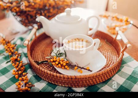 Tee mit Sanddornbeeren in Tasse und Wasserkocher auf Tablett serviert. Gesundes heißes Getränk für kalte Herbst- und Wintertage Stockfoto