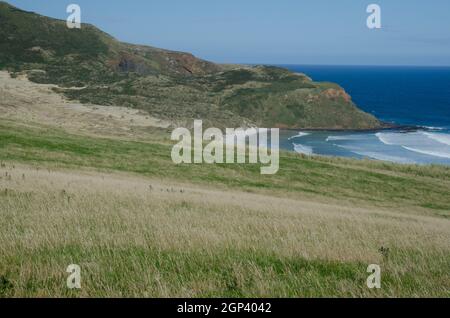 Landschaft in Sandfly Bay. Sandfly Bay Wildlife Refuge. Otago-Halbinsel. Otago. Südinsel. Neuseeland. Stockfoto