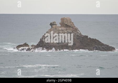 Lion's Head Rock in Sandfly Bay. Sandfly Bay Wildlife Refuge. Otago-Halbinsel. Otago. Südinsel. Neuseeland. Stockfoto