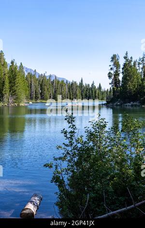 Schöner String Lake im Grand Teton National Park im Sommer an einem sonnigen Tag Stockfoto