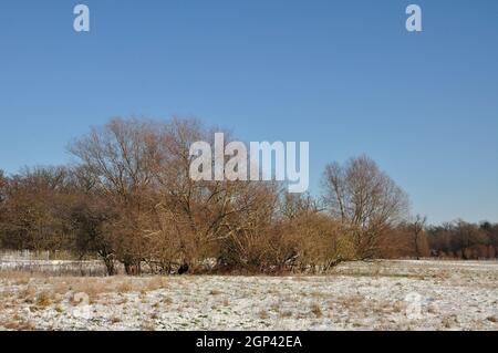 Das Ende des Januars 2021 bescherte uns eine märchenhafte Winterwanderung Durch das Landschaftsschutzgebiet des Erpetals am Rande von Berlin bei Walde Stockfoto