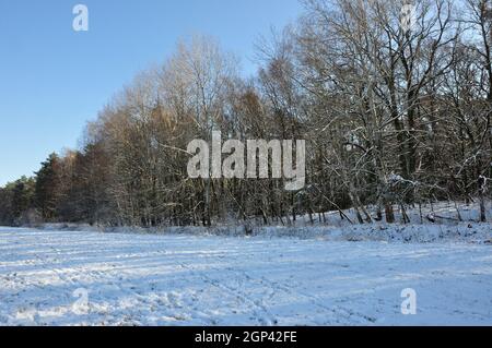 Das Ende des Januars 2021 bescherte uns eine märchenhafte Winterwanderung Durch das Landschaftsschutzgebiet des Erpetals am Rande von Berlin bei Walde Stockfoto