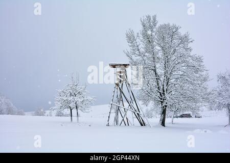 Jäger hoher Sitz aus Holz in einer Landschaft im Winter, mit Bäumen und viel Schnee und Schneefall Stockfoto