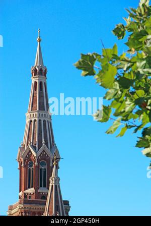 Kuppel der römisch-katholischen Kirche des Allerheiligsten Namens Jesu Jesuit und Zweig des Baumes mit Blättern. Sienkiewicz Straße 60, Lodz, Polen. Wunderschöne Kirche Stockfoto