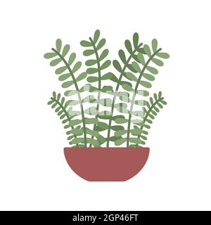 Zamioculcas zamiifolia oder zz Pflanze im Haus Keramik Tontopf, Home Balkon oder Büro Innen Natur Garten Vektor Illustration. Cartoon grüne tropische Topfpflanze isoliert auf weiß Stock Vektor