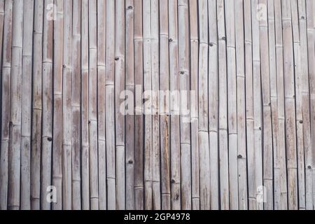 Alte braune ton Bamboo plank Zaun Textur für Hintergrund. Close up Dekorative alte bambus holz Zaun Wand Hintergrund Stockfoto