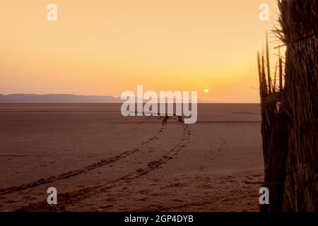 Wunderschöner Sonnenaufgang über einem Salzsee in der Sahara. Tunesien Stockfoto