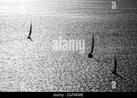 PORTUGAL, LISSABON. BOOTE FAHREN AUF DEN TAGE, DEM FLUSS LISSABON. Stockfoto