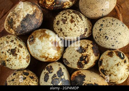 Ansicht von oben auf die wachteleier mit gefleckten Schalen auf Holzplatte. Stockfoto