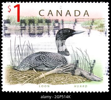MOSKAU, RUSSLAND - 4. AUGUST 2021: Die in Kanada gedruckte Briefmarke zeigt Common Loon (Gavia immer), endgültige kanadische Tierserie, um 1998 Stockfoto