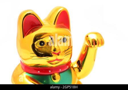 Maneki Neko Japanische Lucky Cat Goldene Figur auf weißem Hintergrund. Stockfoto