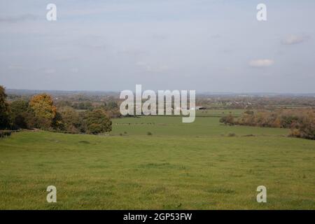 Blick auf die Landschaft um Faringdon in Oxfordshire in Großbritannien, aufgenommen am 19. Oktober 2020 Stockfoto