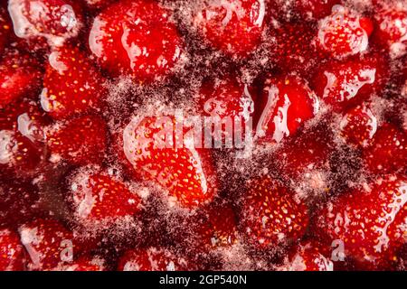 NAHAUFNAHME: Erdbeermarmelade. Machen Sie eine Erdbeermarmelade. Erdbeeren in der Pfanne kochen. Prozess des Kochens, kochende Beeren für das Einkochen. Gesunde, süße Speisen. Co Stockfoto