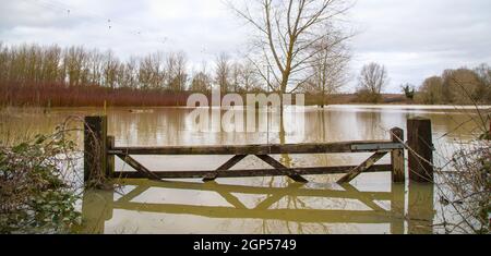 Hochwasser in Feldern, UK Countryside, 2021. Klimawandel, extremes Wetter, globale Erwärmung. Globale Überschwemmungen drohen durch den Klimawandel. Überflutetes Holz Stockfoto