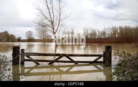 Überflutete landwirtschaftliche Felder mit Holztor, Himmel, Reflexion im Wasser, getränktes Feld. Hochwasser im Frühling, Großbritannien, Suffolk Frühling 2021 Stockfoto