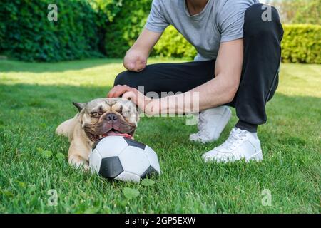 Französische Bulldogge, die draußen auf einem Fußball kaut Stockfoto