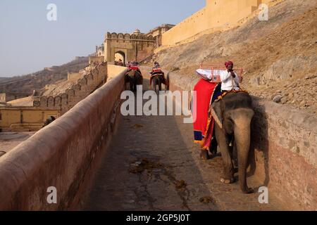 Dekoriert Elefanten tragen Touristen in Amber Fort in Jaipur, Rajasthan, Indien Stockfoto