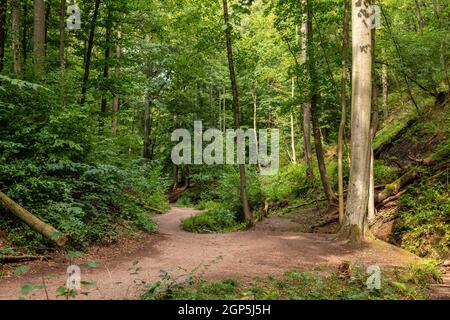 Wanderweg in der Drachenschlucht, Drachenschlucht bei Eisenach, Thüringen Stockfoto