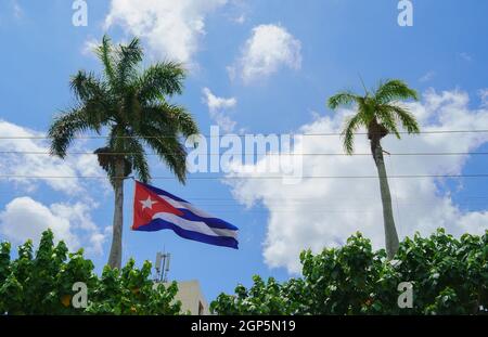 Eine kubanische Fahne in einem echten Palme gehisst, blauer Himmel mit einigen Wolken im Hintergrund Stockfoto