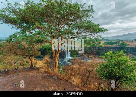 Blaue Nil Wasserfälle in der Trockenzeit. Fallen Sie auf den Blauen Nil. Natur und Reiseziel. Äthiopien Wildnis, Amhara Region, in der Nähe Bahir dar und Stockfoto