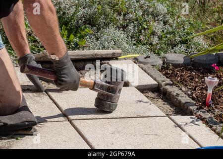 Ein professioneller Pflasterarbeiter legt Terrassenplatten in einem Kiesbett mit einem professionellen Pflasterhammer. Ausrüstung aus einem Maurer zum Verlegen von Pflasterplatten Stockfoto